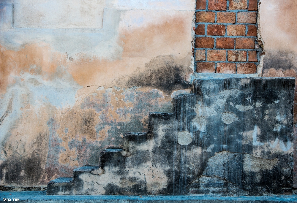 Photographer: odedbaron