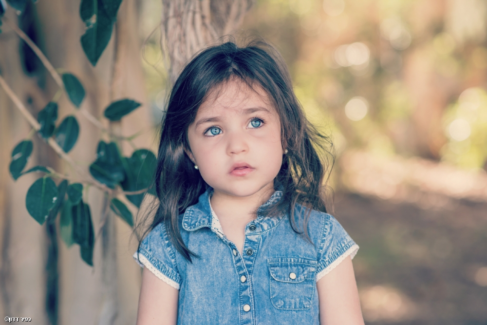 Photographer: kfirdadon