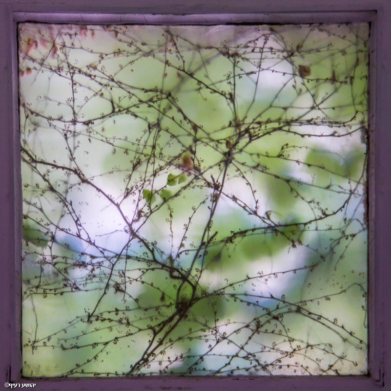 Photographer: joshua raif