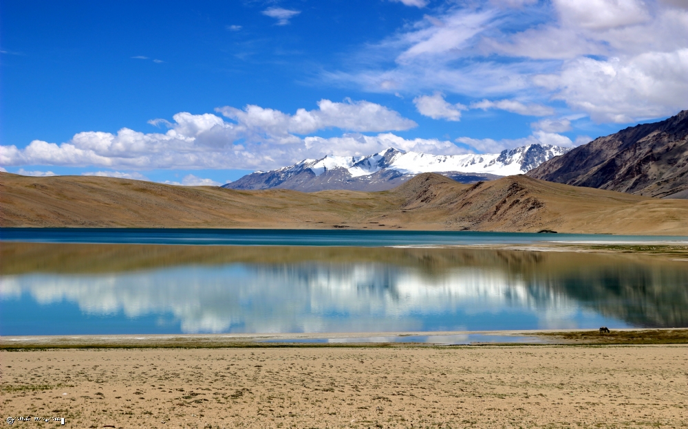 Photographer: drora baharal