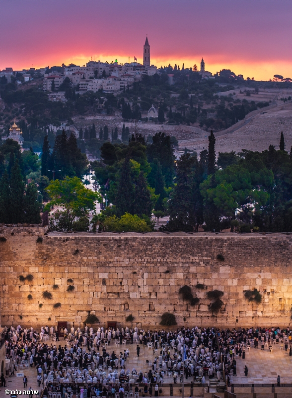 Photographer: shlomogelber