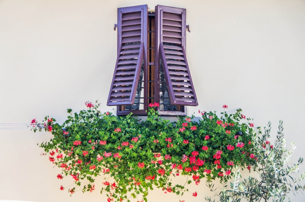 Photographer: joshua raif