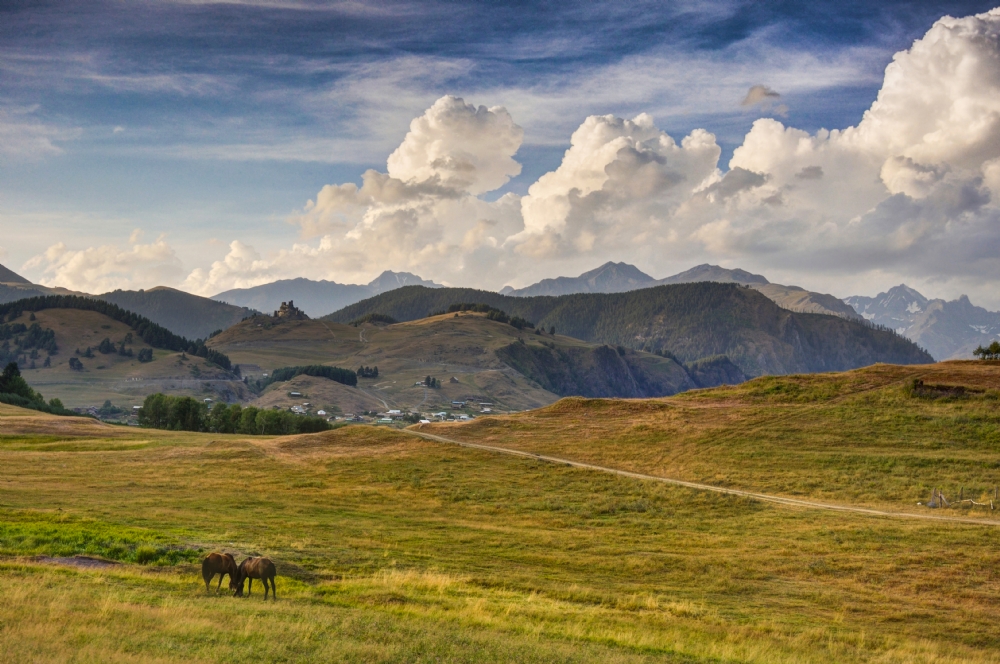 Photographer: talamram