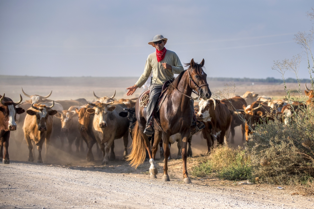 By: Raphael Abecassis