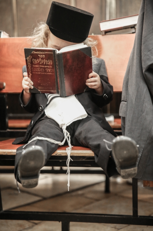 Photographer: davidcohen