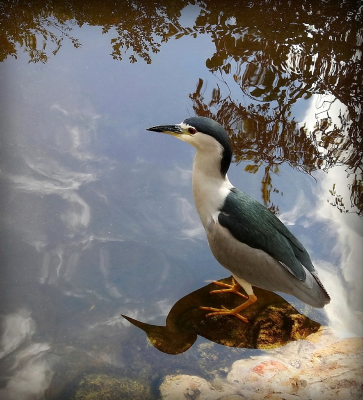 Photographer: nava familia