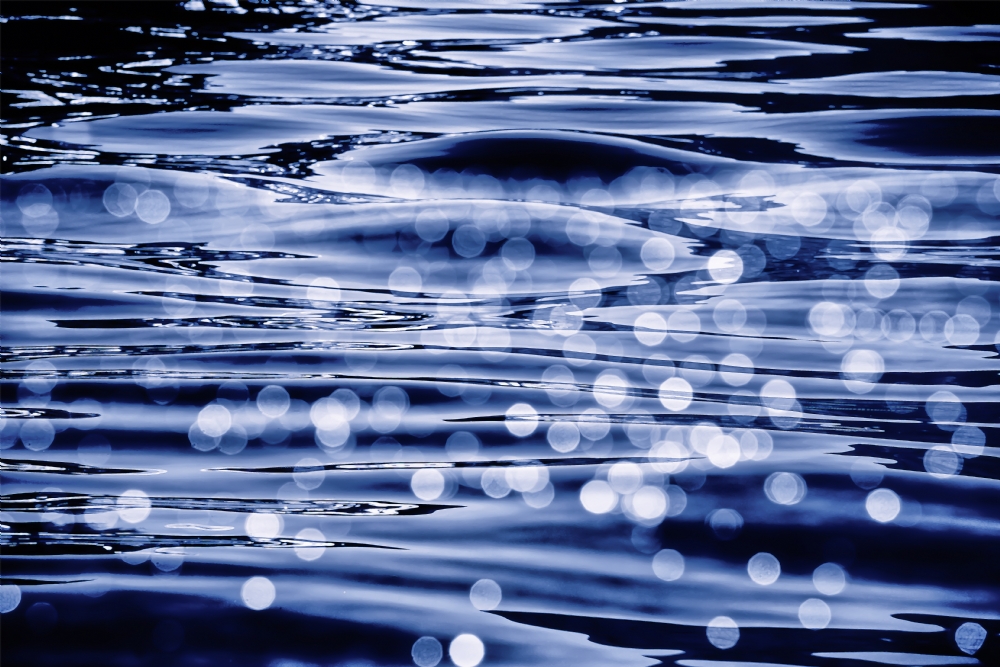 Photographer: oritgafni