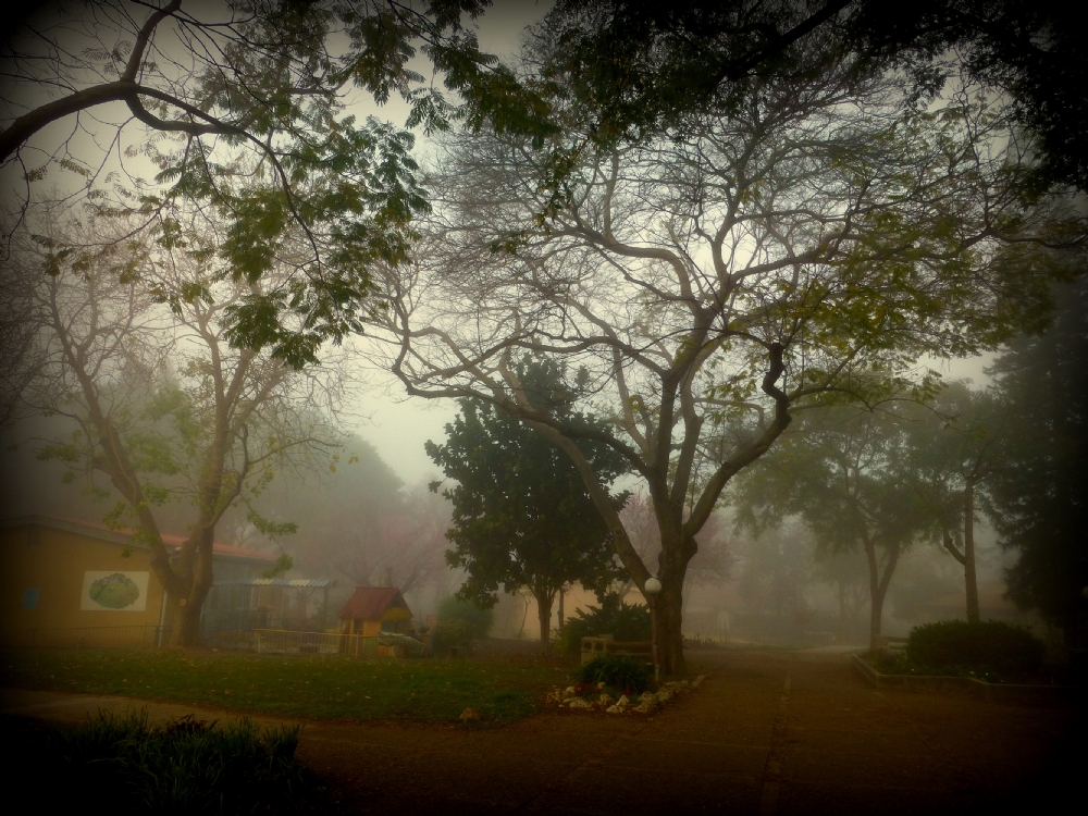 Photographer: favybakalo