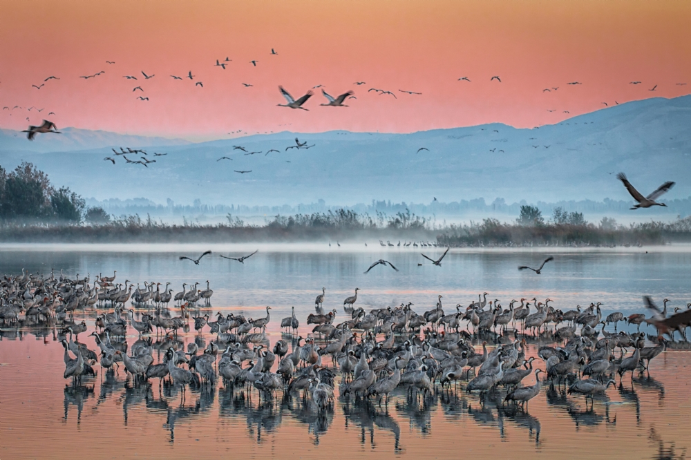 Photographer: raidomar