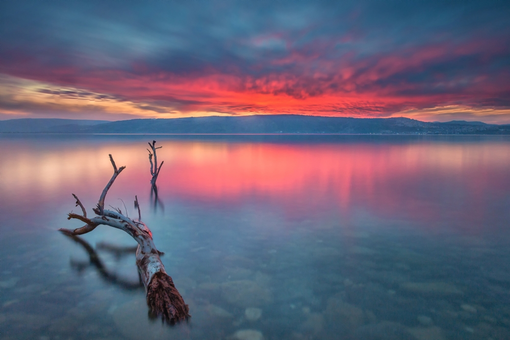 Photographer: raidomar