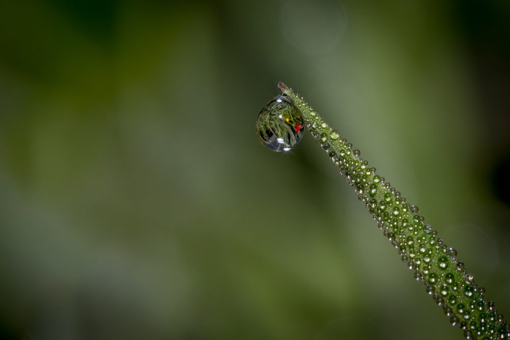 By: Nikolay Tatarchuk