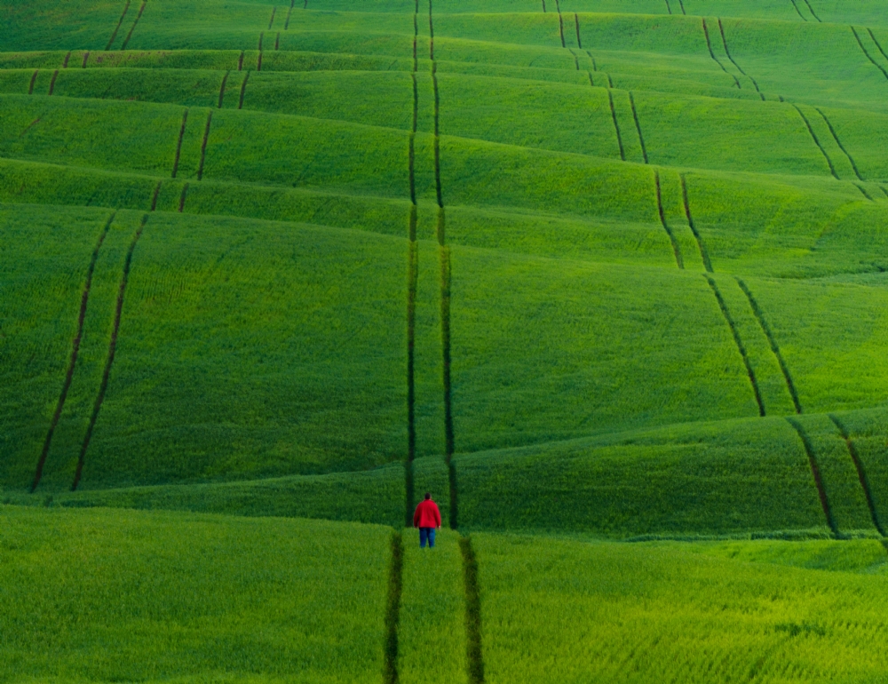 Photographer: kareemkhalaf