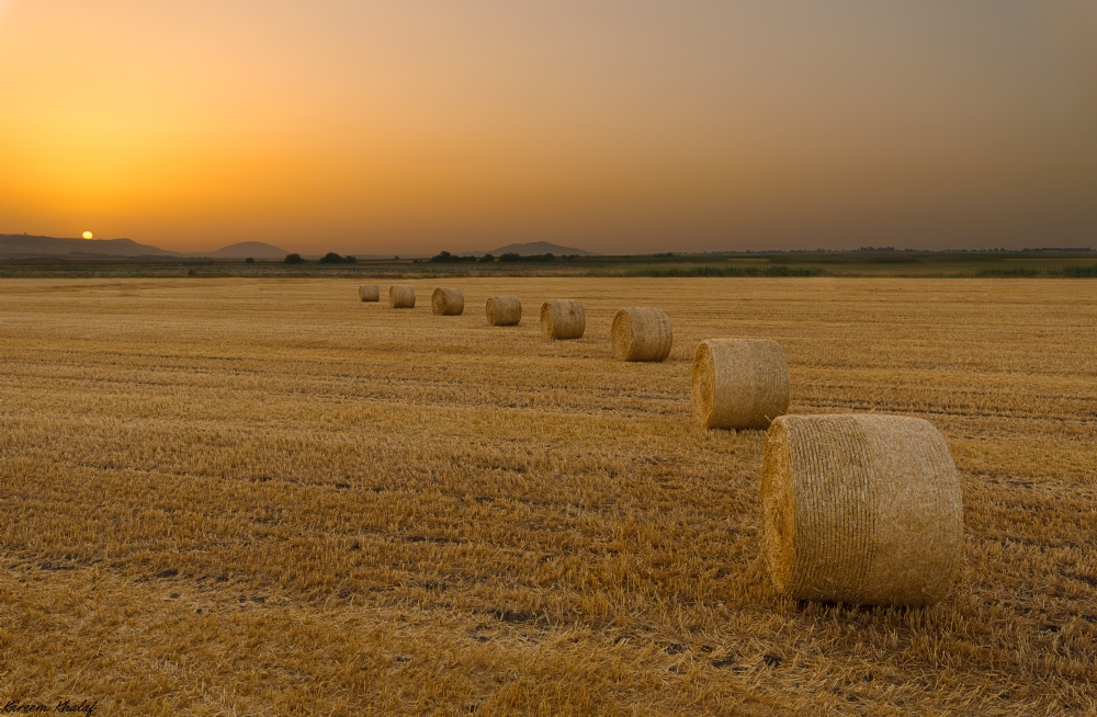 Photographer: kareemkhalaf