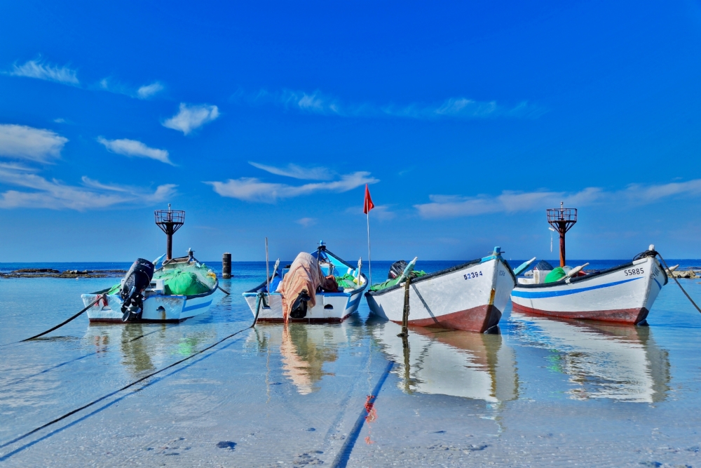 Photographer: yoramsegol