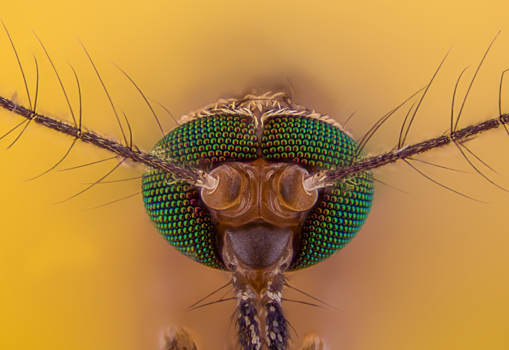 Photographer: kareemkhalaf