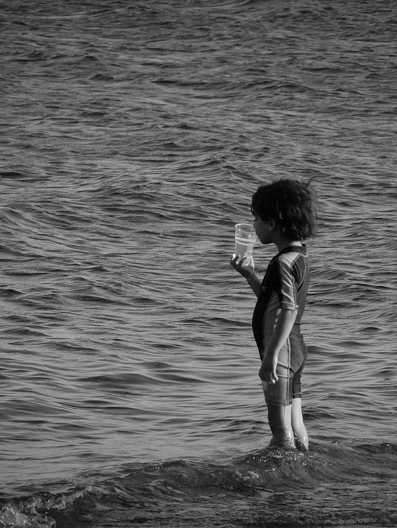 By: moshe dahan