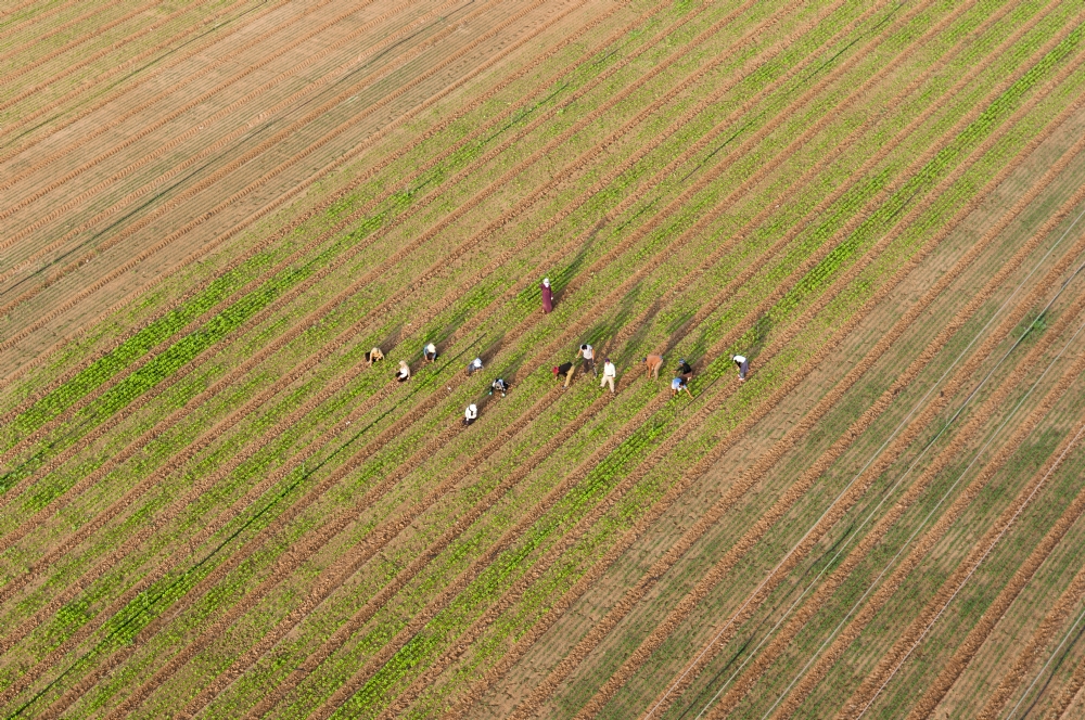 Photographer: raphaelabecassis