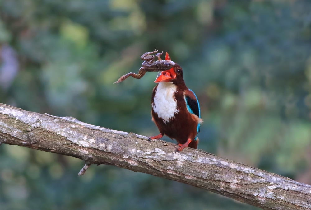 Photographer: lueipaer