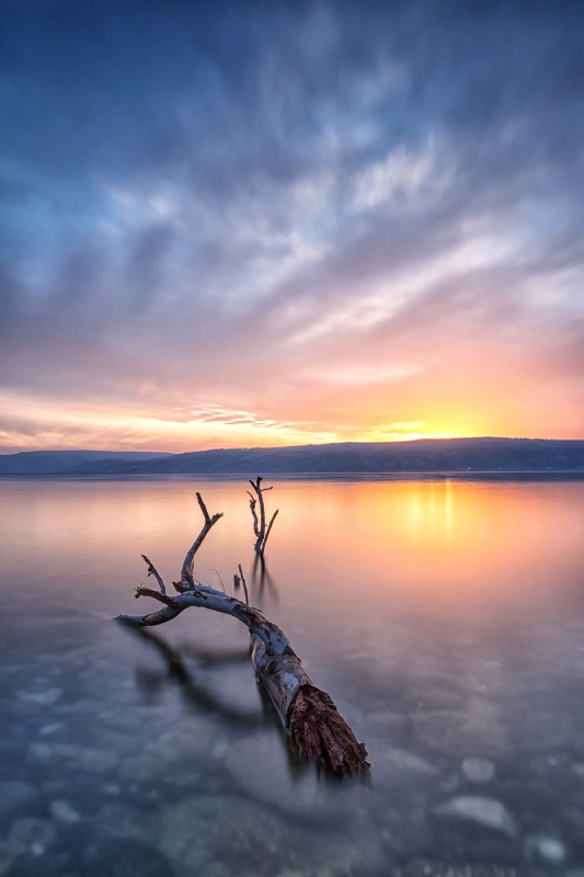 Photographer: raidomar