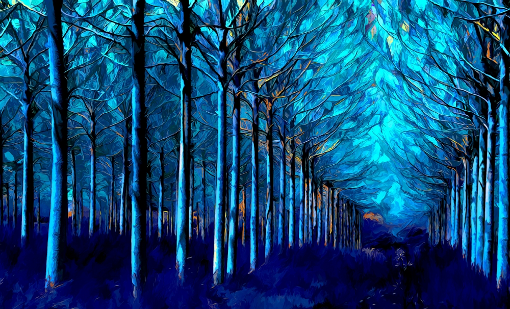 Photographer: oritgafni