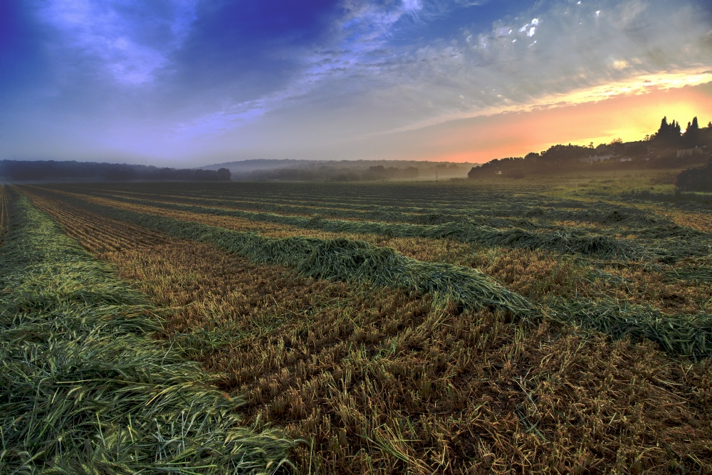 Photographer: favybakalo