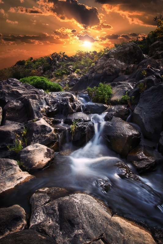 Photographer: raidomar