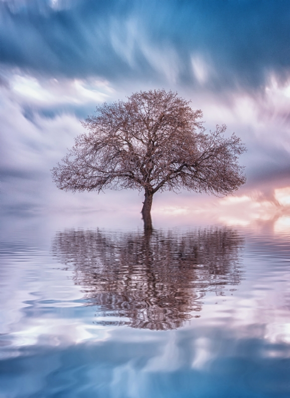 Photographer: raidomar