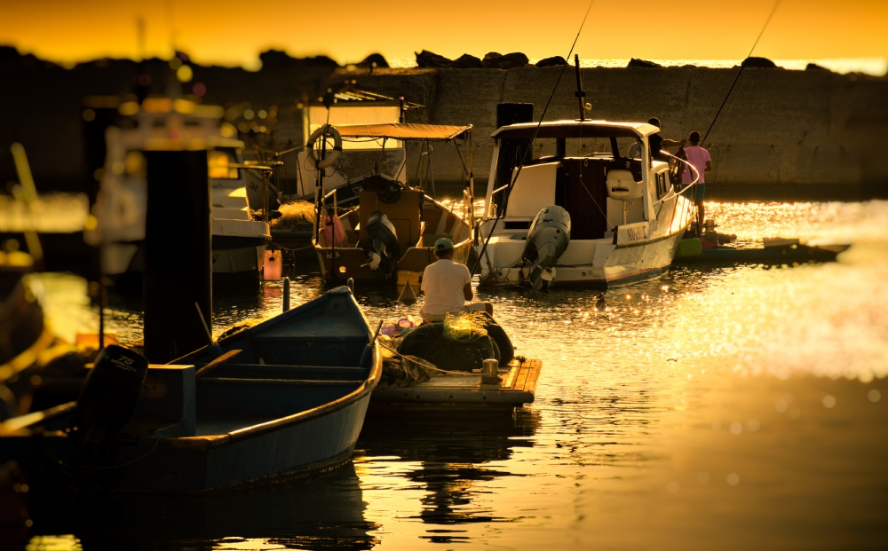 Photographer: amiredri