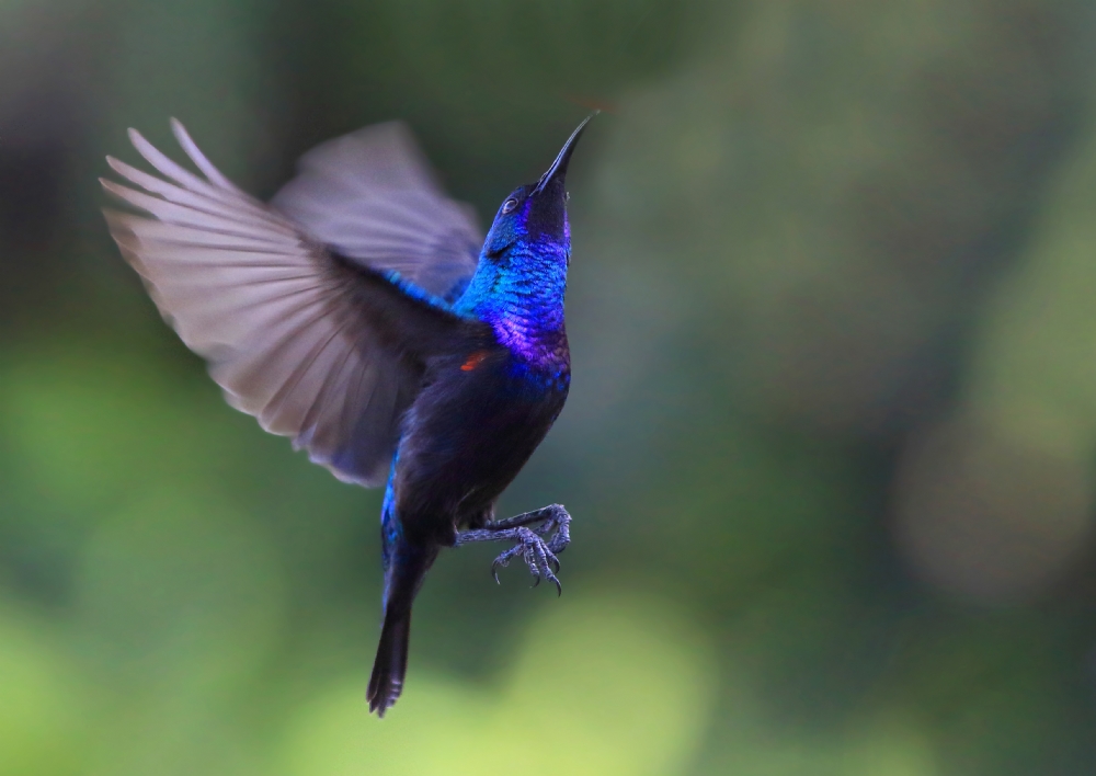 Photographer: lueipaer