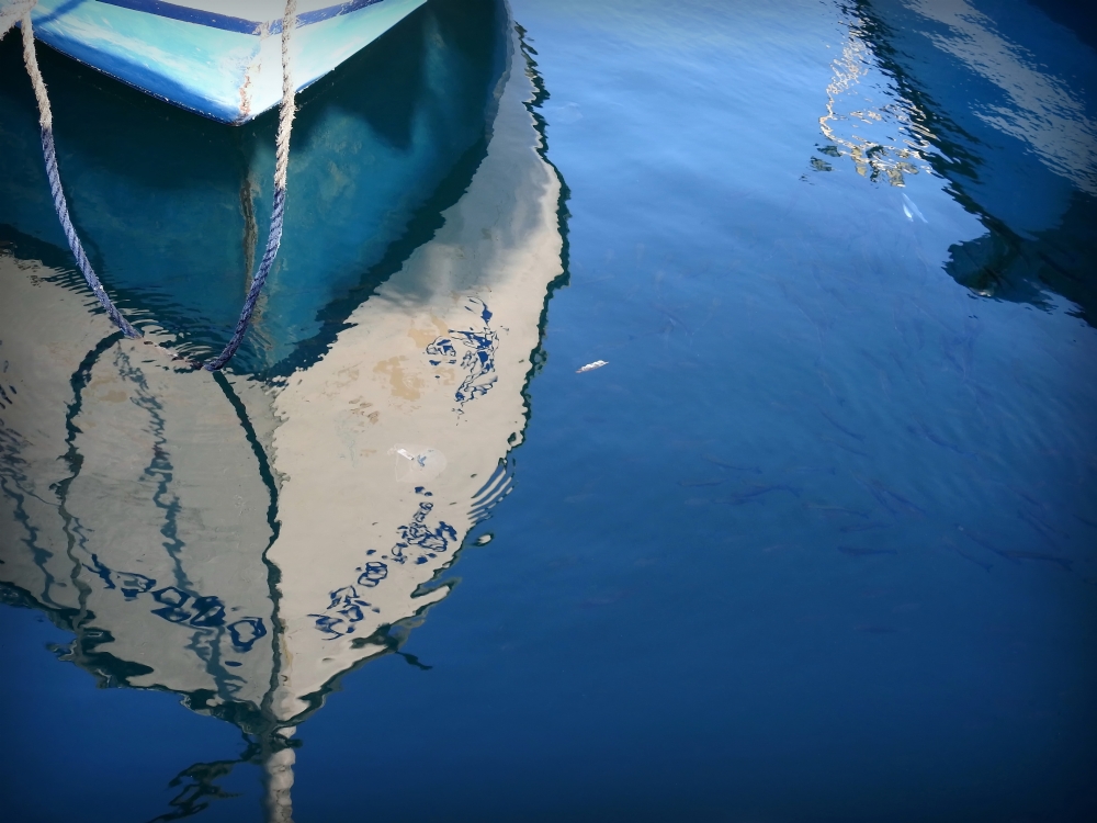 Photographer: nava familia