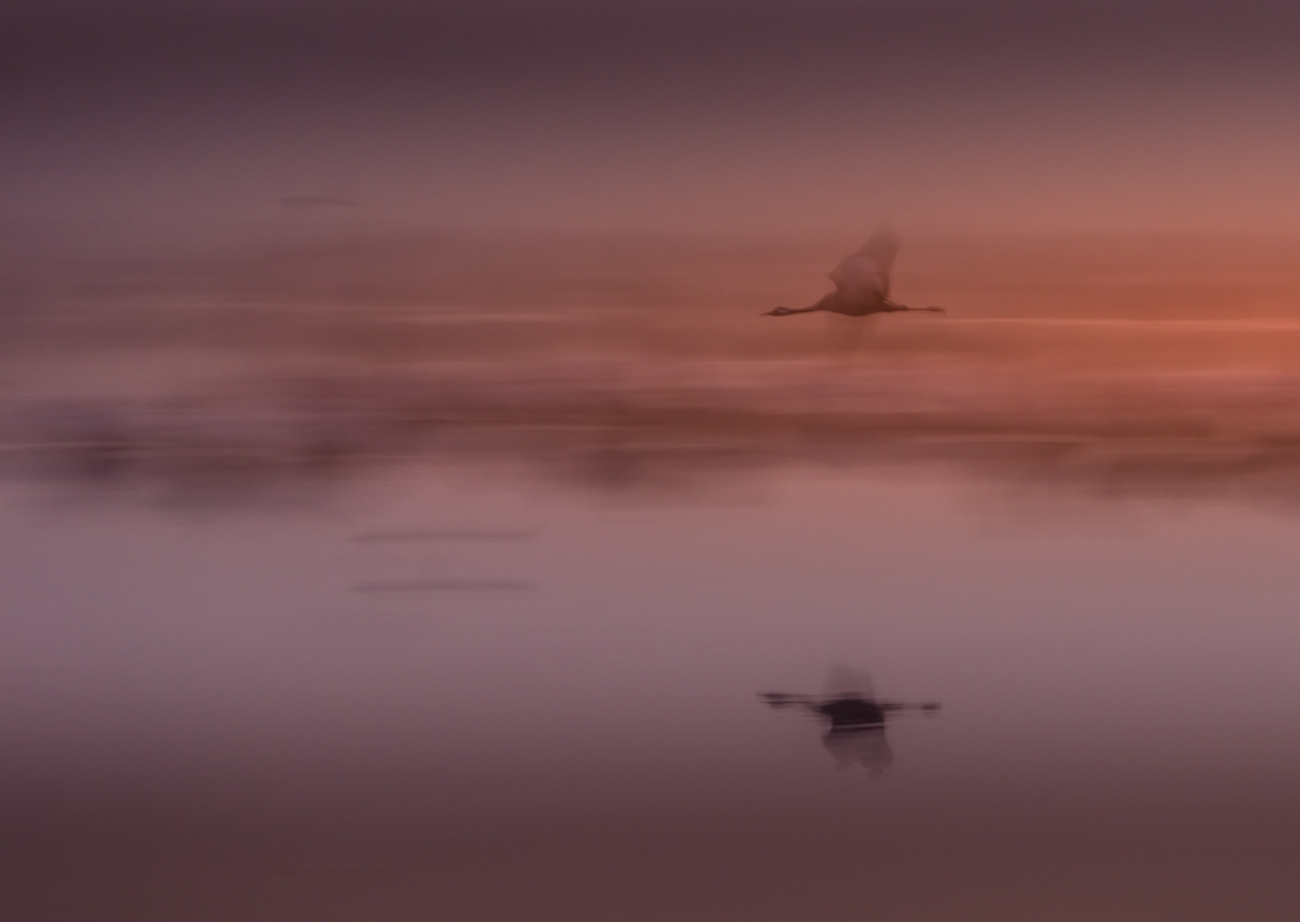 Photographer: doronhazan