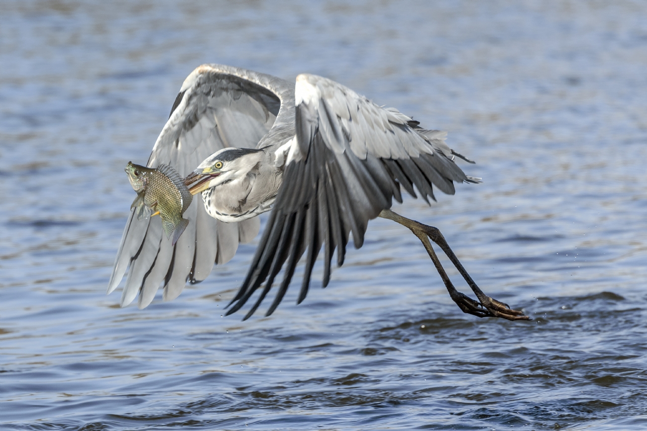 Photographer: moshemallal