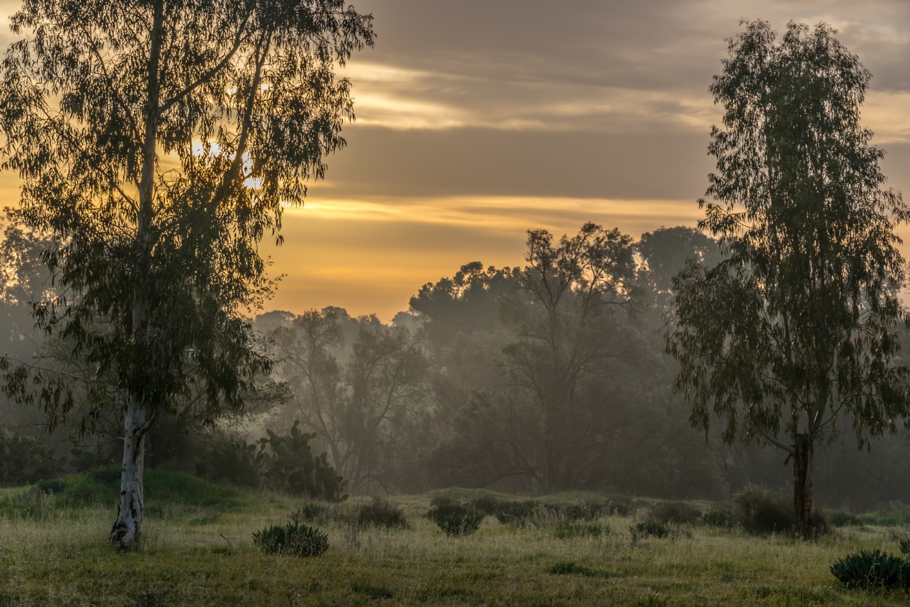 By: Nikolay Tatarchuk