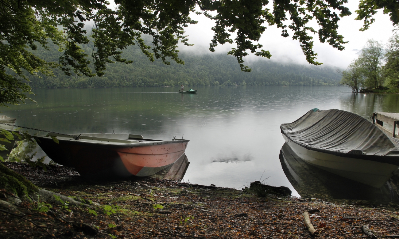 Photographer: yael megeri 