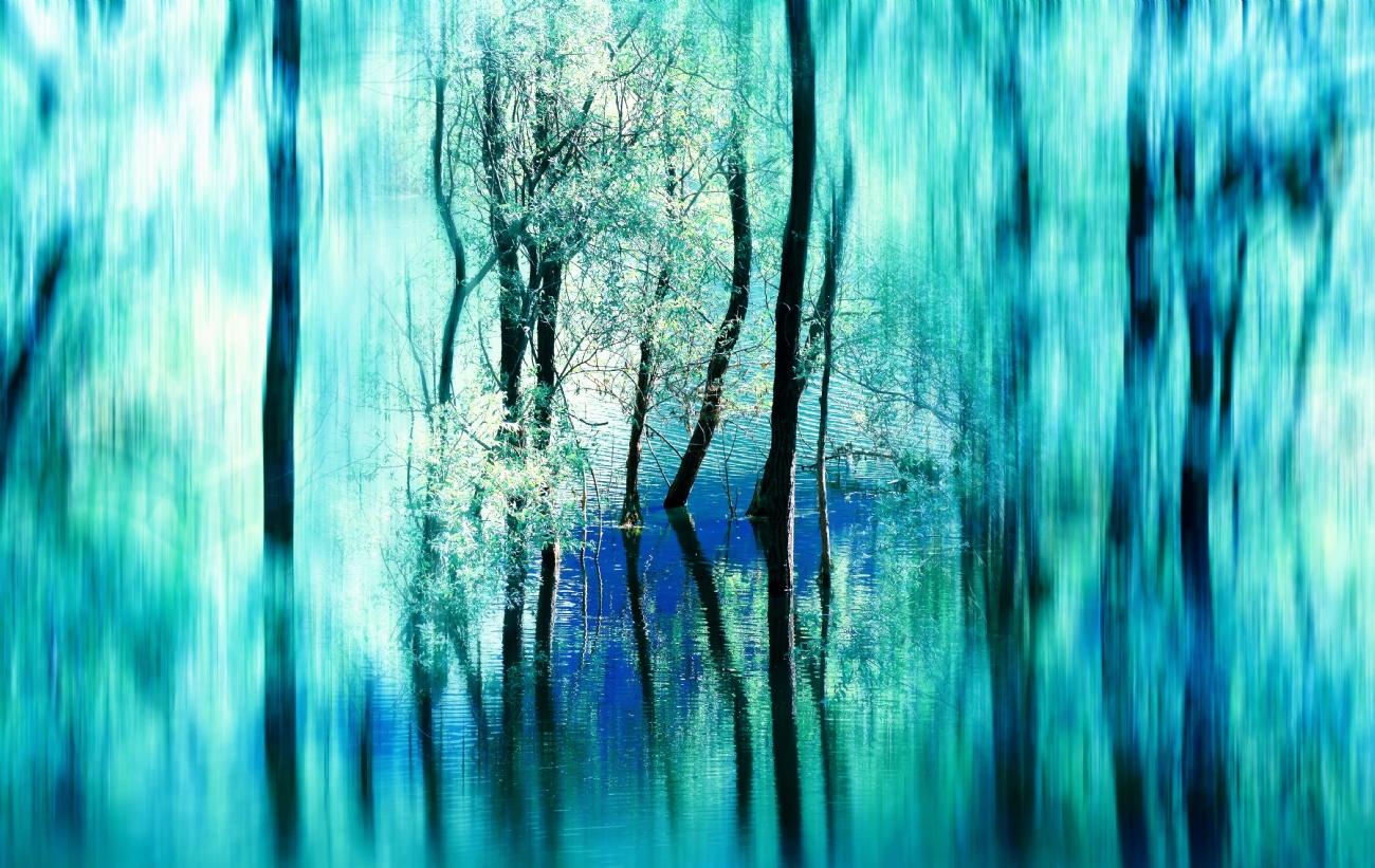 Photographer: oritgafni