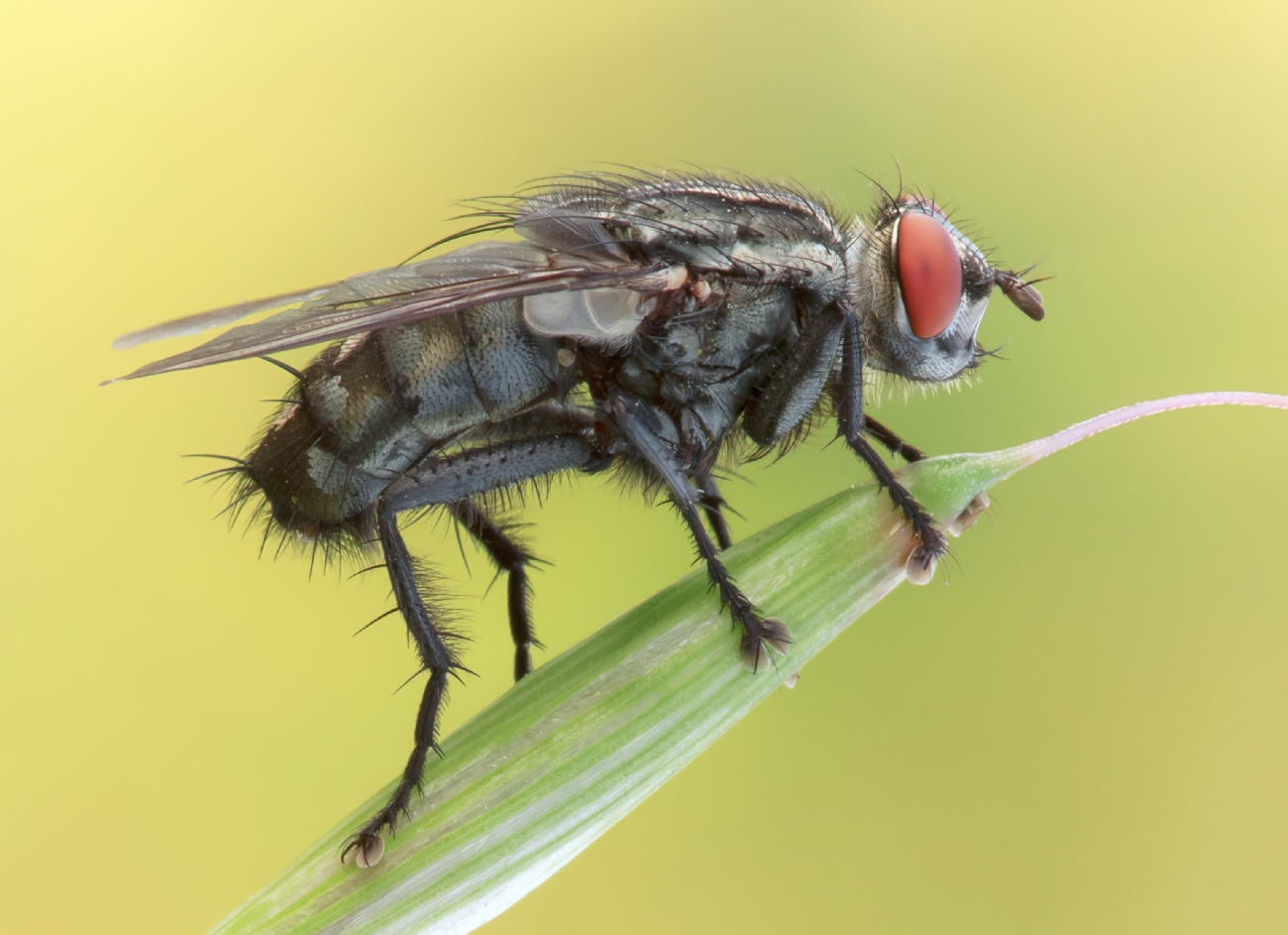 Photographer: motifadida