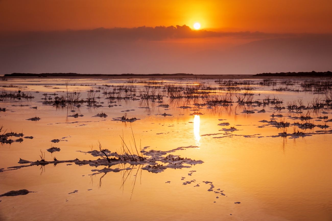 Photographer: nikolaytatarchuk