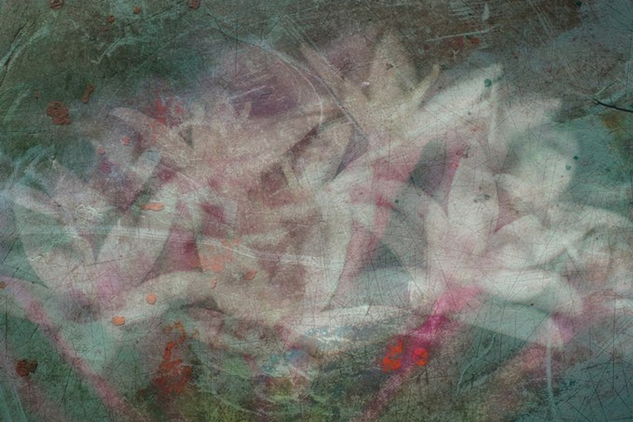 Photographer: joshua raif