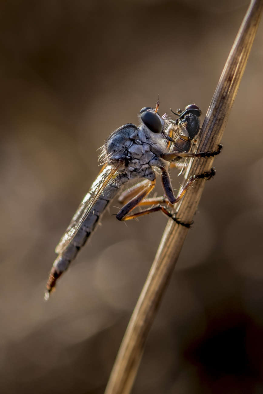 Photographer: giorgiofubini