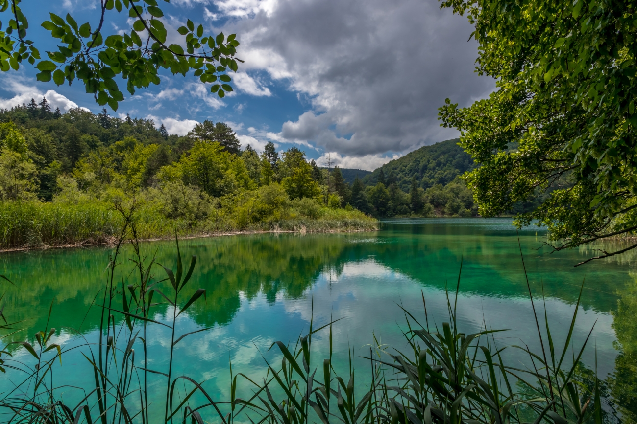 By: Nikolay Tatarchuk