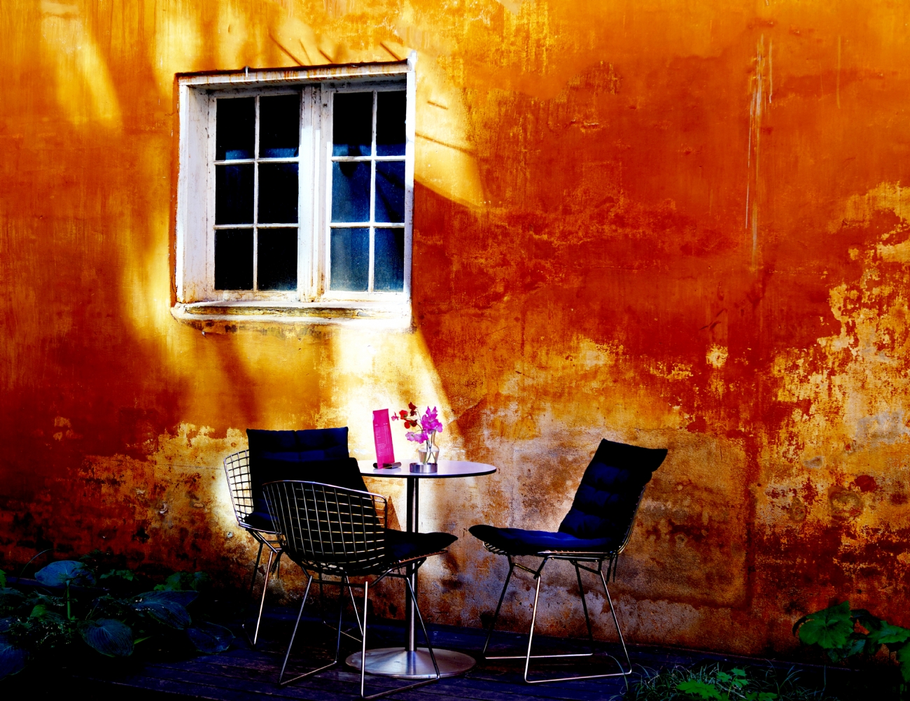 Photographer: oritgafni