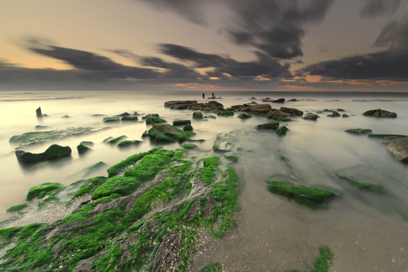 Photographer: motifadida