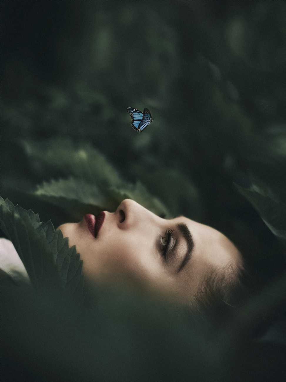 Photographer: ilyayakover