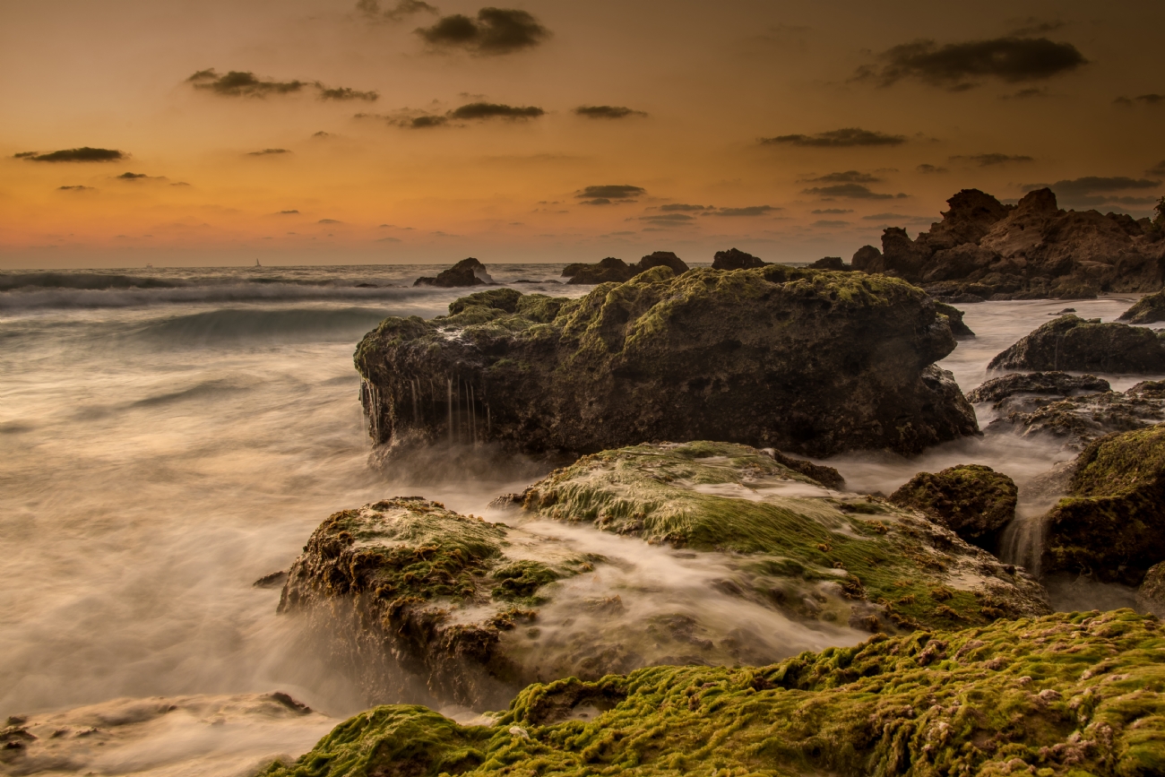 Photographer: zionlevi