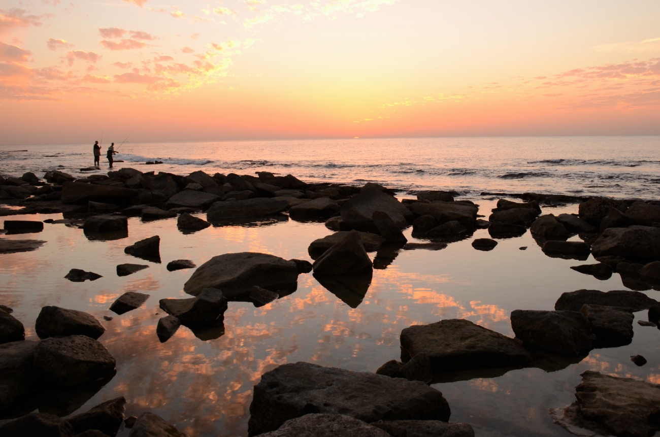 Photographer: elananhelman