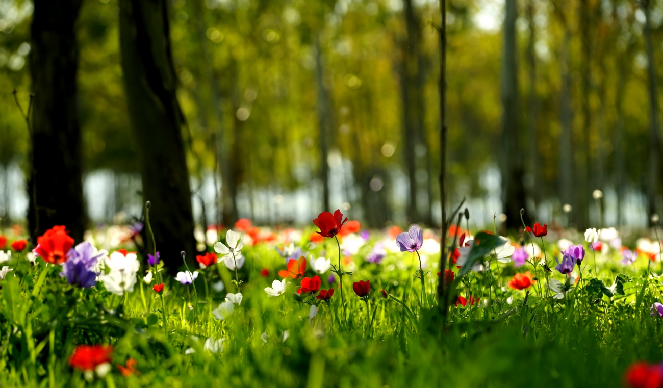 Photographer: oritgafni