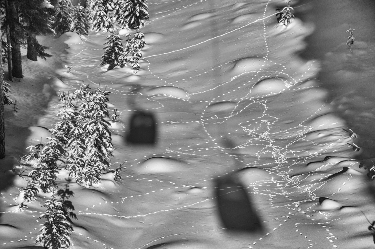 Photographer: joshua raif