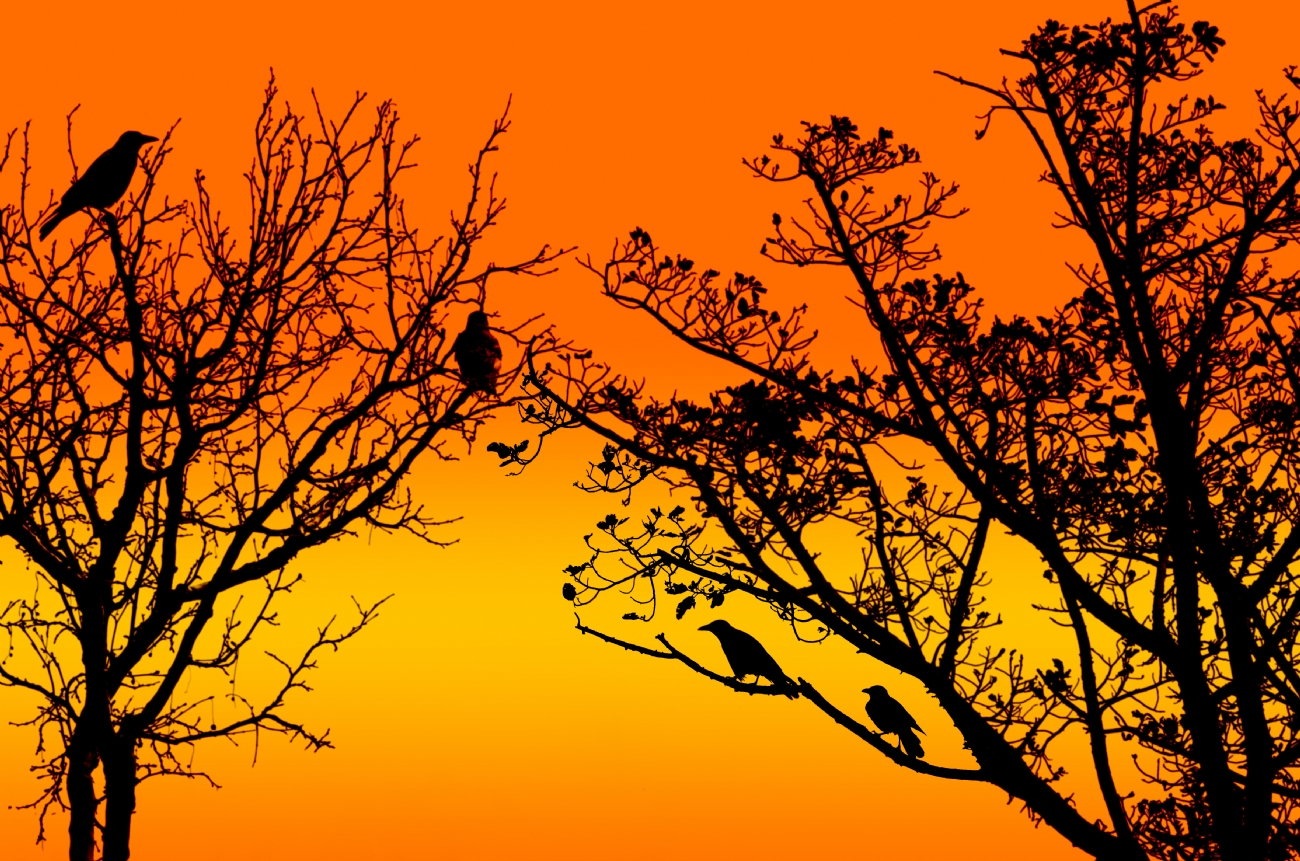 Photographer: doronhazan