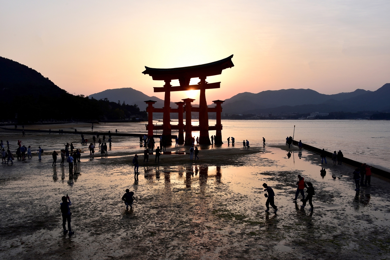 Photographer: pini avivi