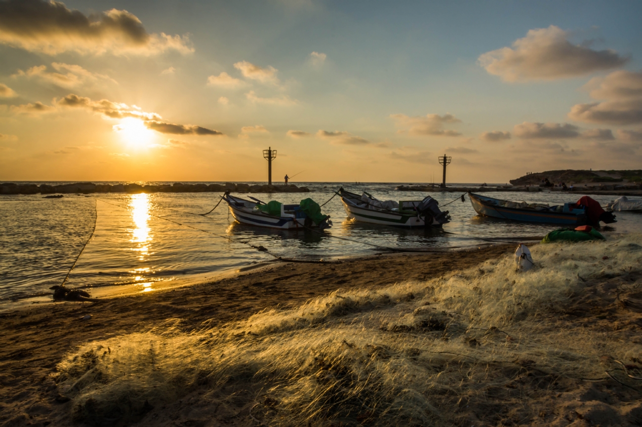 Photographer: joshua raif